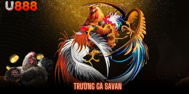 3 hình thức cá cược thu hút người chơi nhất tại sân chơi Savan U888