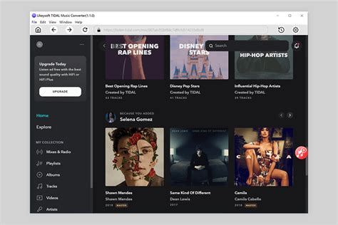 Pazu Tidal Music Converter